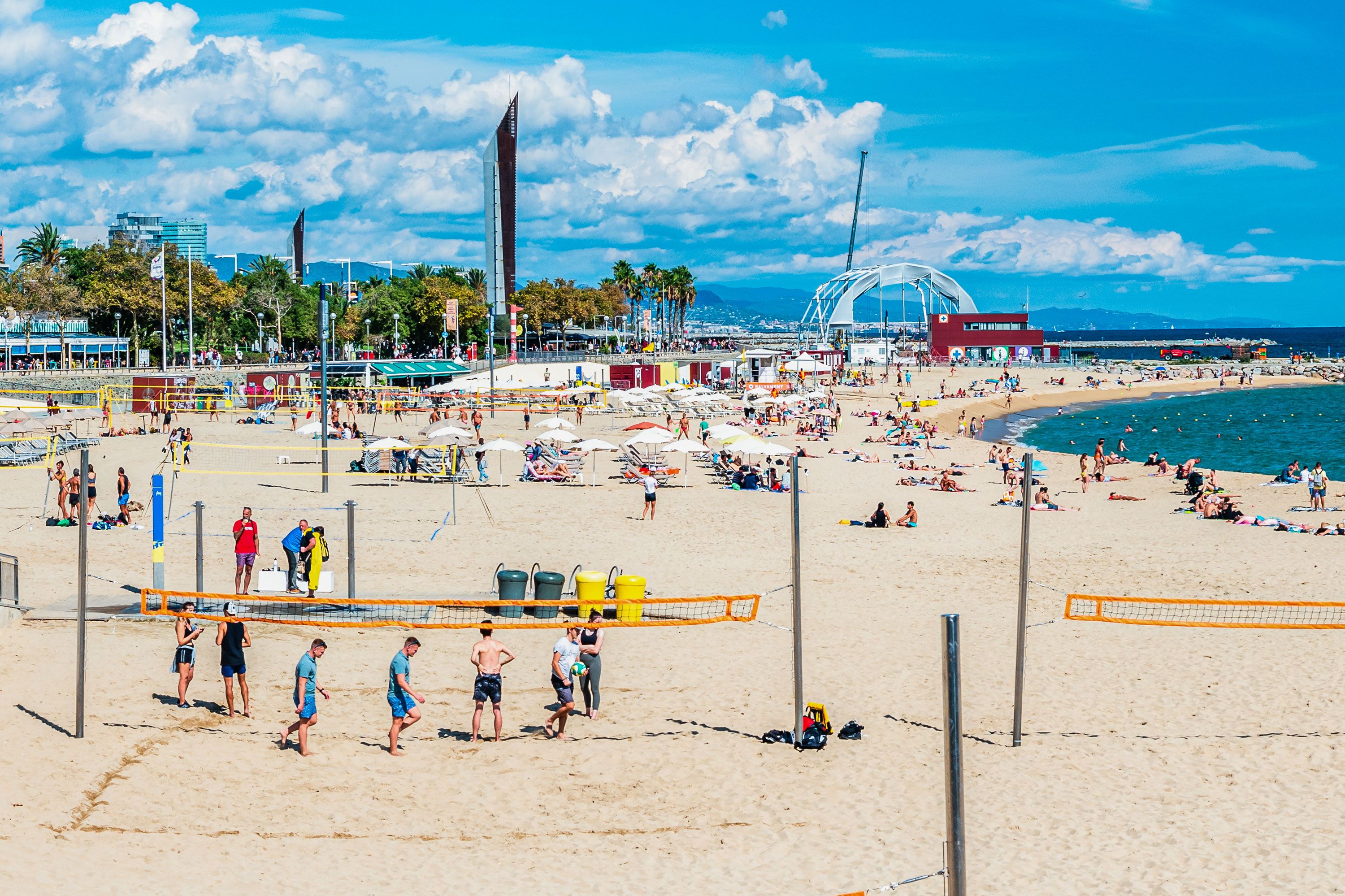 Multiple volleyball courts are lined on either side by the sea and by a path and trees.