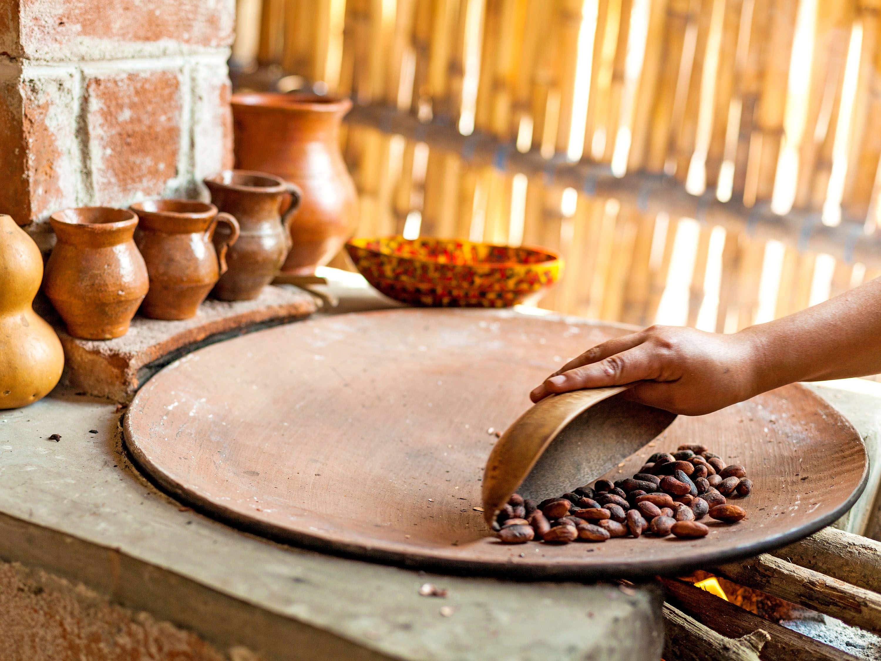 A person scoops cacao beans.