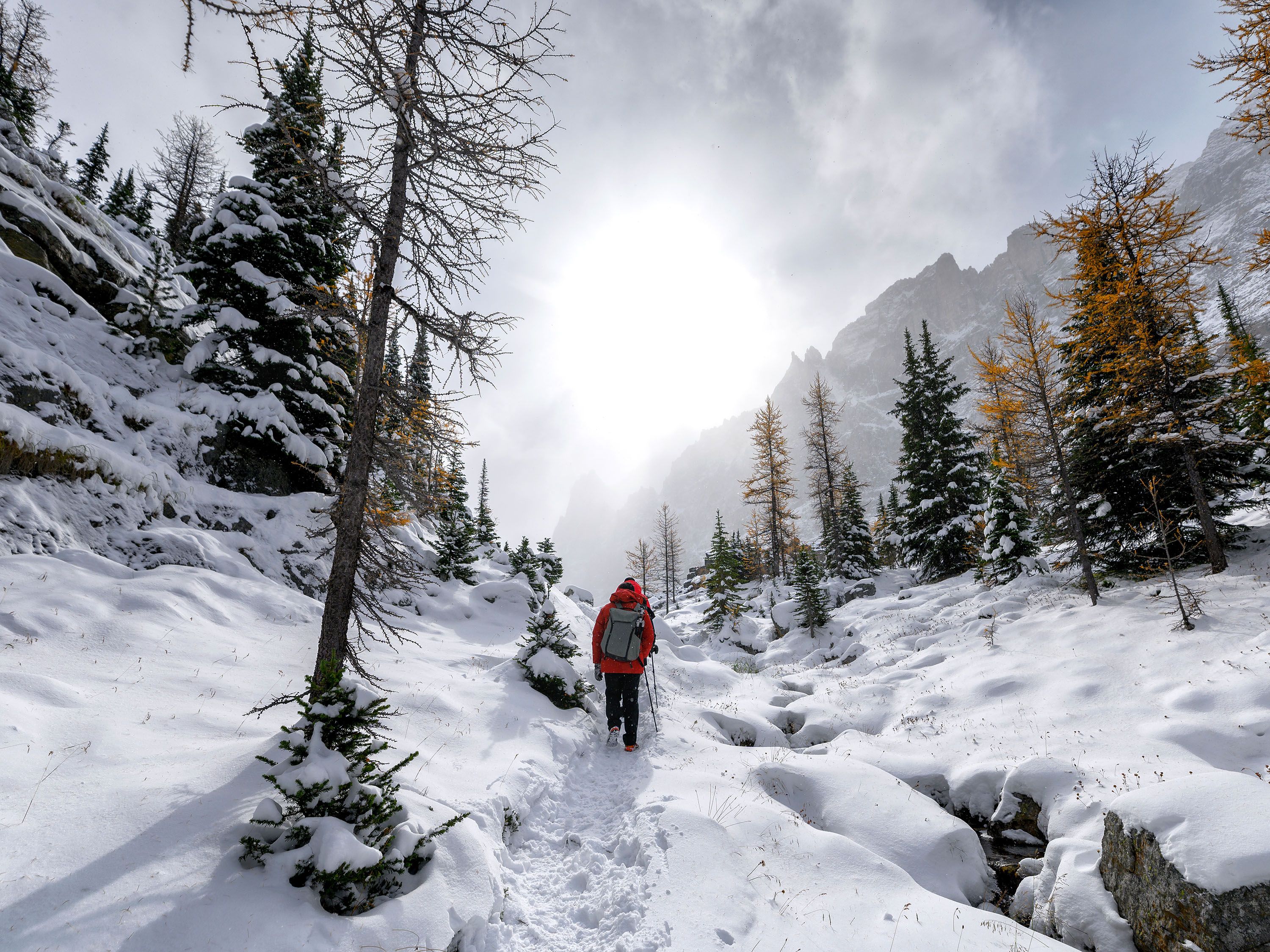 A person with a red coat walks on a snow-filled trail surrounded by trees.