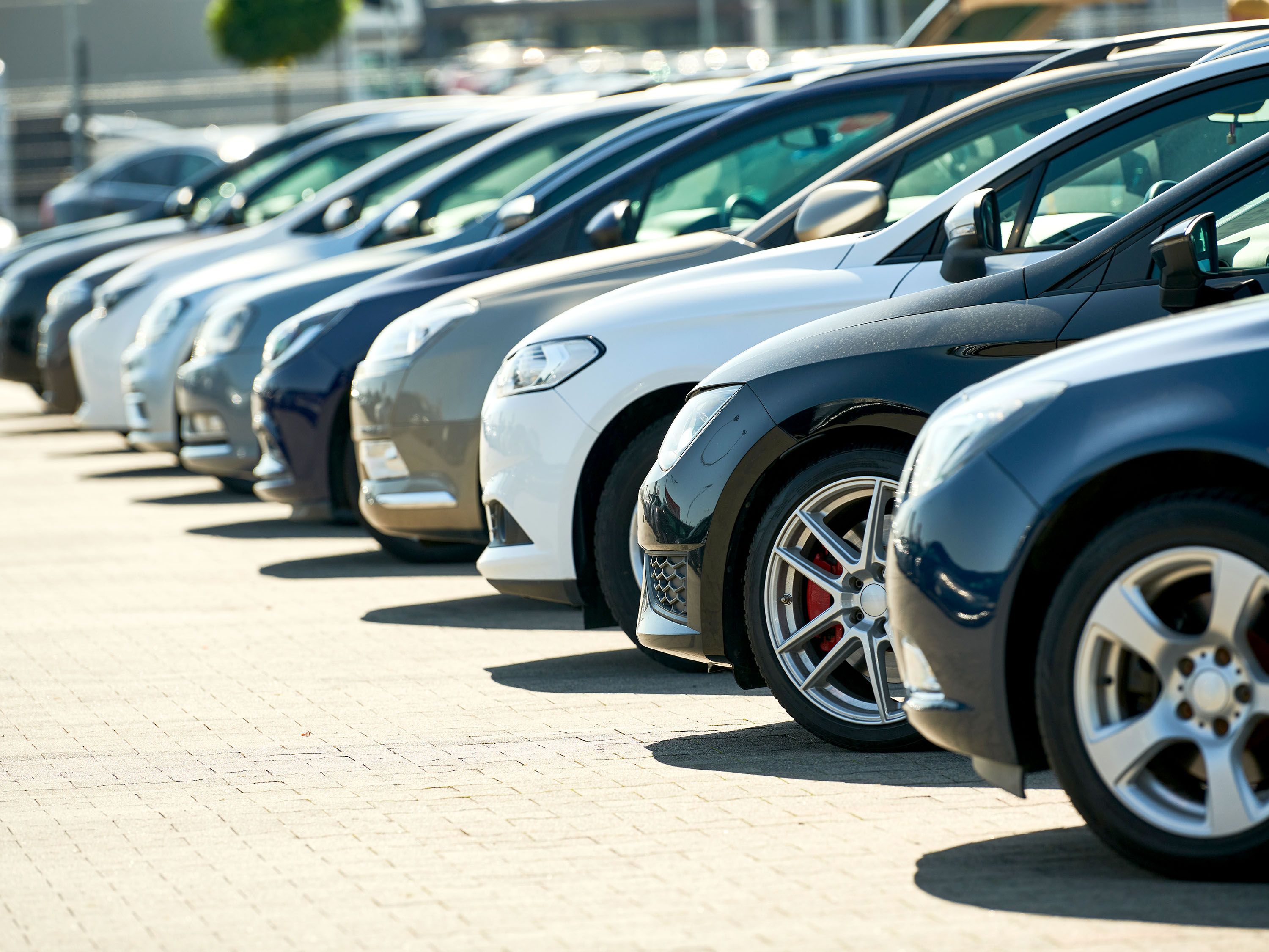 Multiple cars with their front ends lined up in a parking lot.
