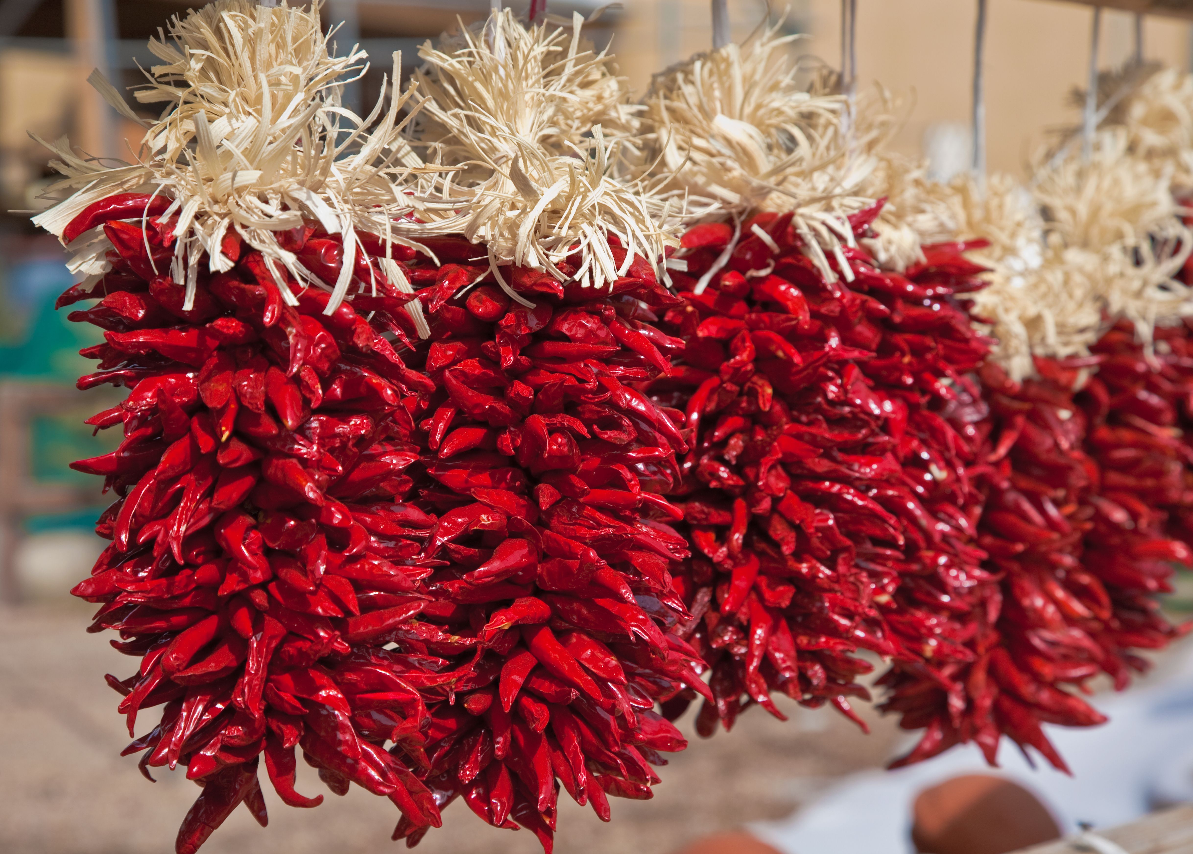 Strung ristras dry the chile harvest around the city.