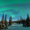 Blue and green northern lights fill the night sky over snow-covered, tree-lined terrain in Canada