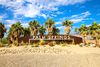 A sign saying "Palm Springs" surrounded by palm trees.