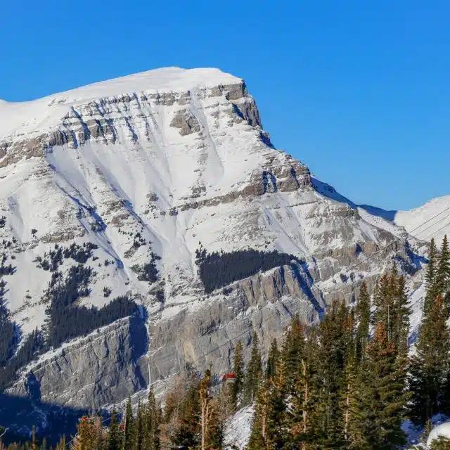 A snow-covered rocky mountain with trees at the edge beneath blue skies