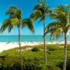 Palm trees line the beach dotted with sun loungers at Sundial Beach Resort & Spa in Sanibel, Florida