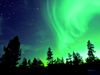 The sky is filled with stars and green and purple swirly lights with trees in silhouette.