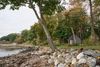 Coastal Sunrise On A Cabin At The Rocky Shoreline Of Camden, Maine