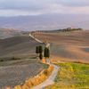 A winding road through Tuscany's rural Val D'Orcia, with cypress trees and farmland either side