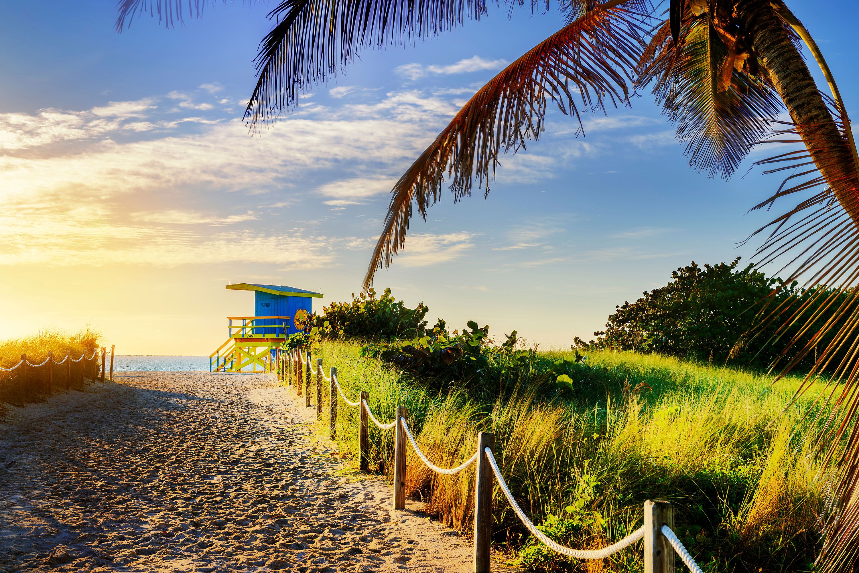 Rope-lined sandy path with palm tree leads towards lifeguard hut and water at sunrise.