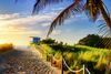 Rope-lined sandy path with palm tree leads towards lifeguard hut and water at sunrise.