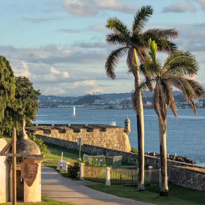 Palm trees in old San Juan, Puerto Rico, near historic Spanish fort ruins