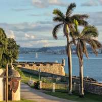 Palm trees in old San Juan, Puerto Rico, near historic Spanish fort ruins