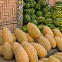 Two types of melons piled high against a doorway, Istaravshan Bazaar, Tajikistan