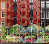 View of Amsterdam floating flower market (Bloemenmarkt) greenhouses moored in front of brick row houses at edge of Singel canal.