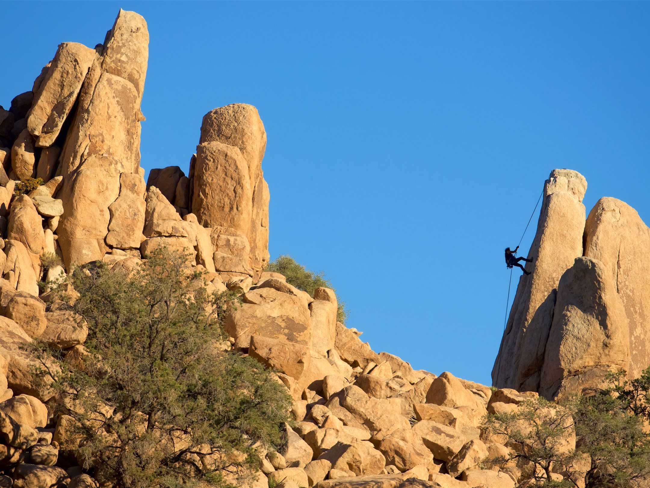 Una persona desciende unas rocas en rapel en el Parque Nacional Joshua Tree