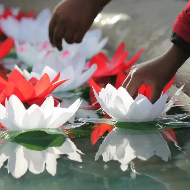 Lotus-flower offerings are made at Diwali
