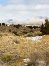 Scrubland of yellow grass and white rocks is in the foreground, with a grey mountain range in the far distance