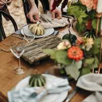 A rustic wooden table set with linen napkins, miniature pumpkins, and potted plants