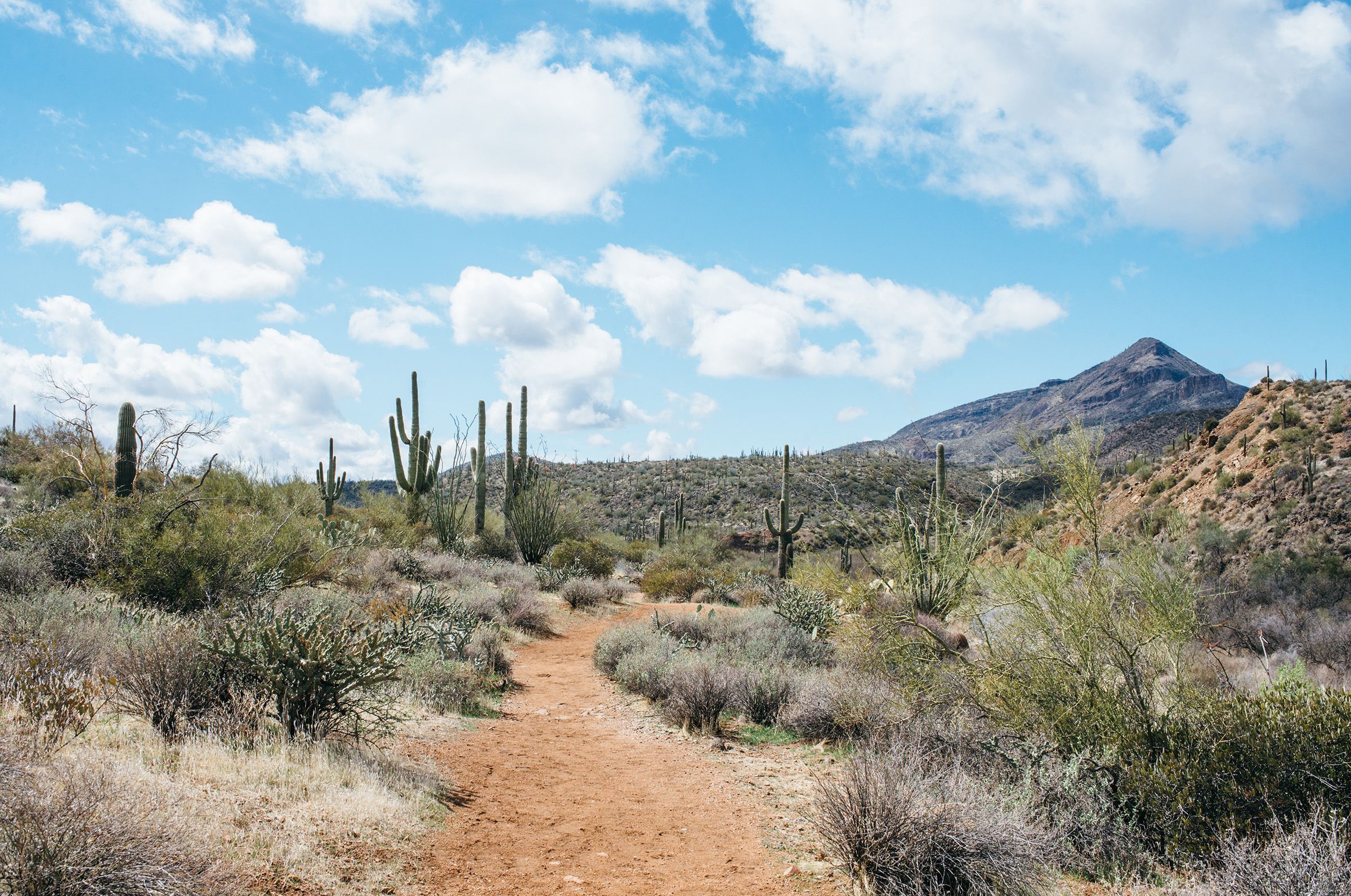 he McDowell Sonoran Preserve protects 30,500 acres, the largest urban preserve in the country.