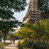 The Eiffel Tower is seen through the trees on a sunny day in Paris, France