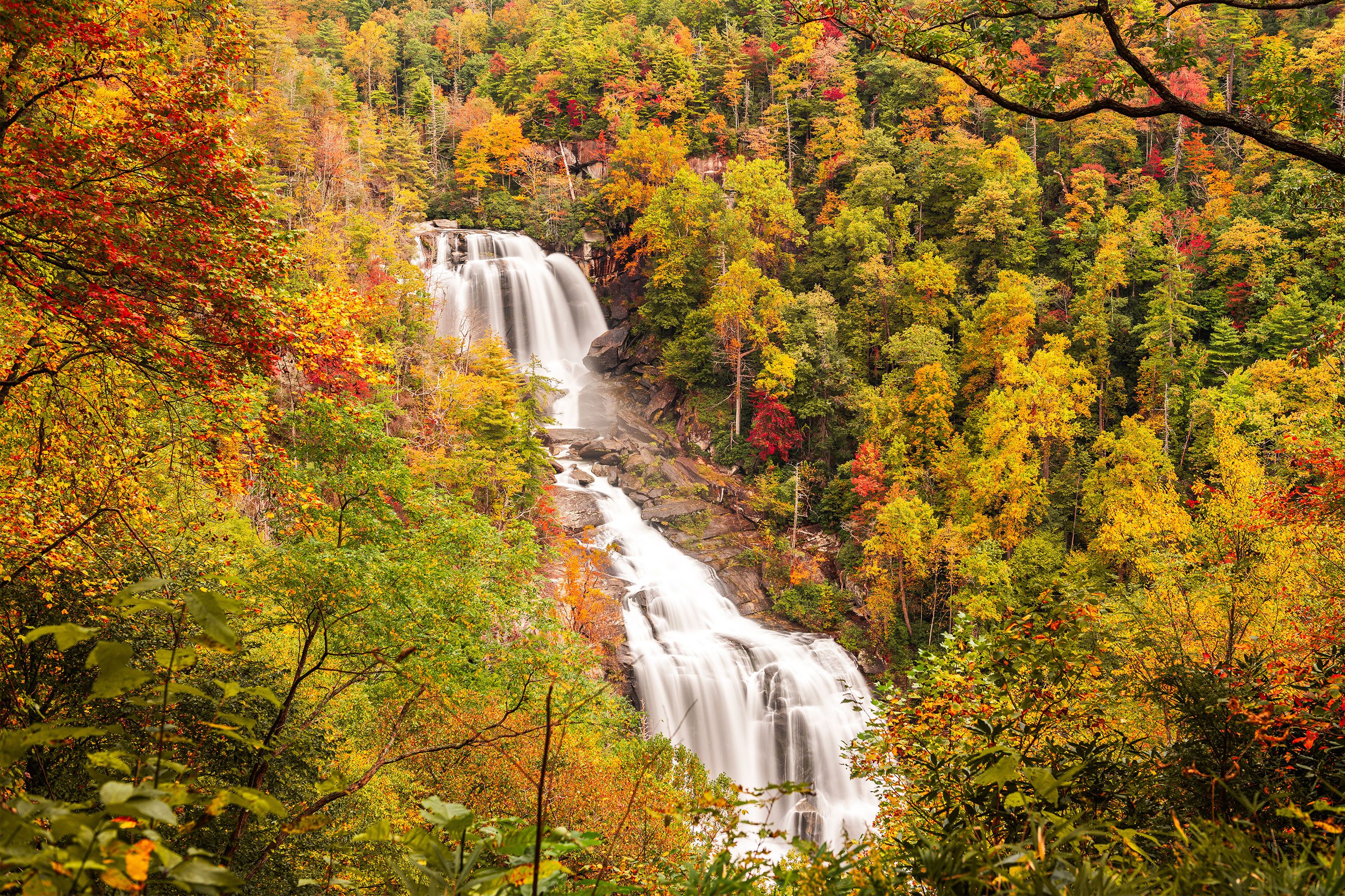 A cascading waterfall flows through a forest glowing with vibrant fall colors.