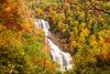 A cascading waterfall flows through a forest glowing with vibrant fall colors.