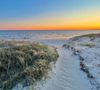 A sandy path leading to the water at sunset.