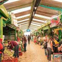 Paloquemao Market in Bogotá, Colombia