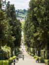 People walk along the lush tree-lined pathway through Boboli Gardens in Florence, Italy