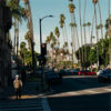 Tall palm trees tower over the traffic at Alexandria Plaza, Koreatown, LA
