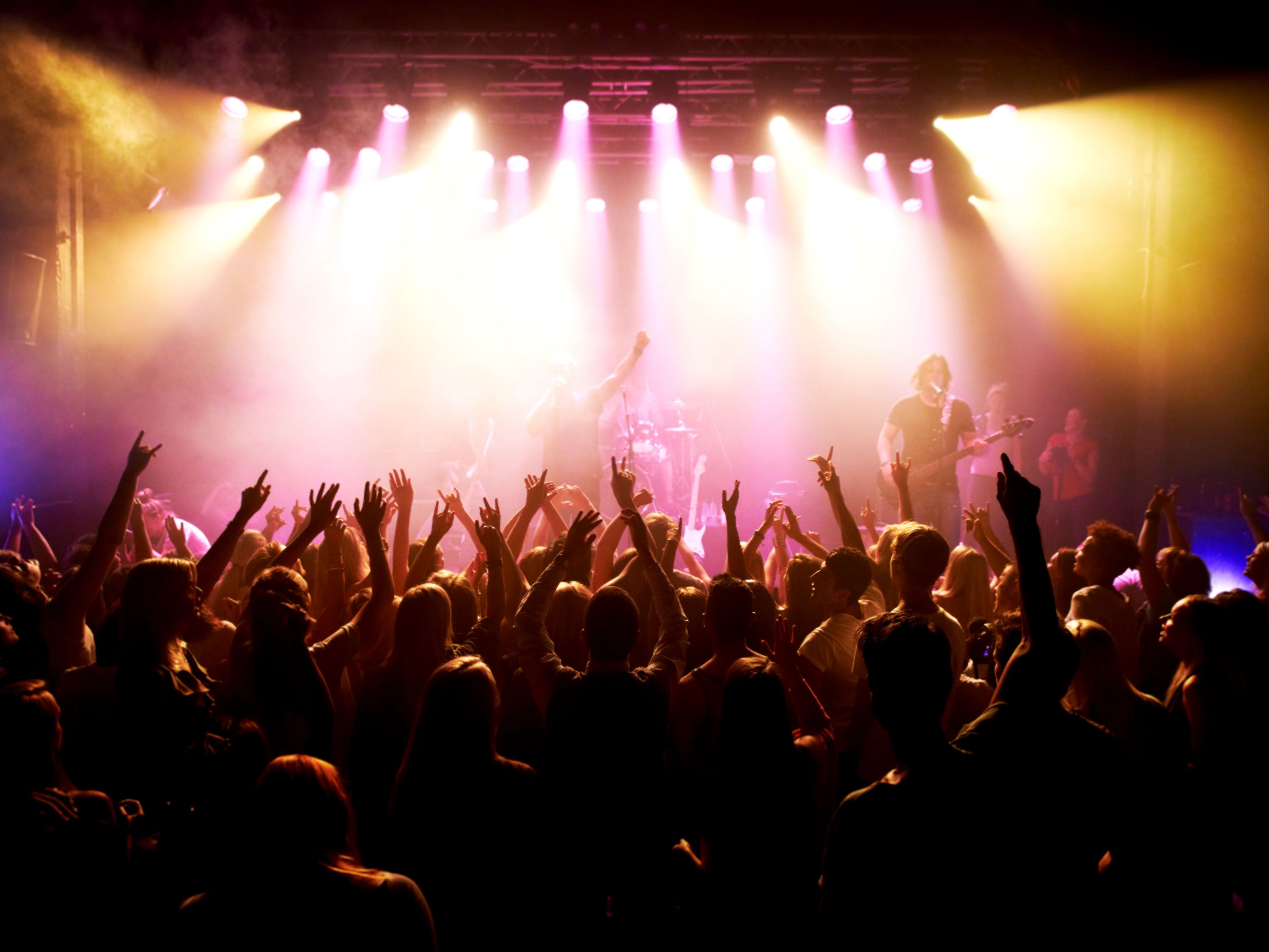 Rear view of fans with their hands up watching a rock concert.