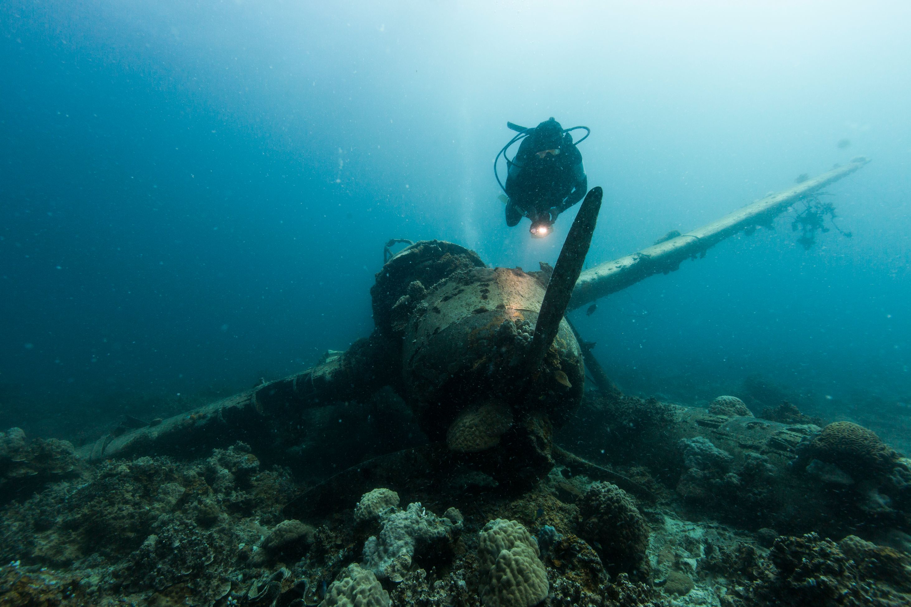 A WWII plane wreck under the ocean near Palau with a diver swimming above it.