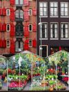 The floating Bloemenmarkt is a multicolored must-see