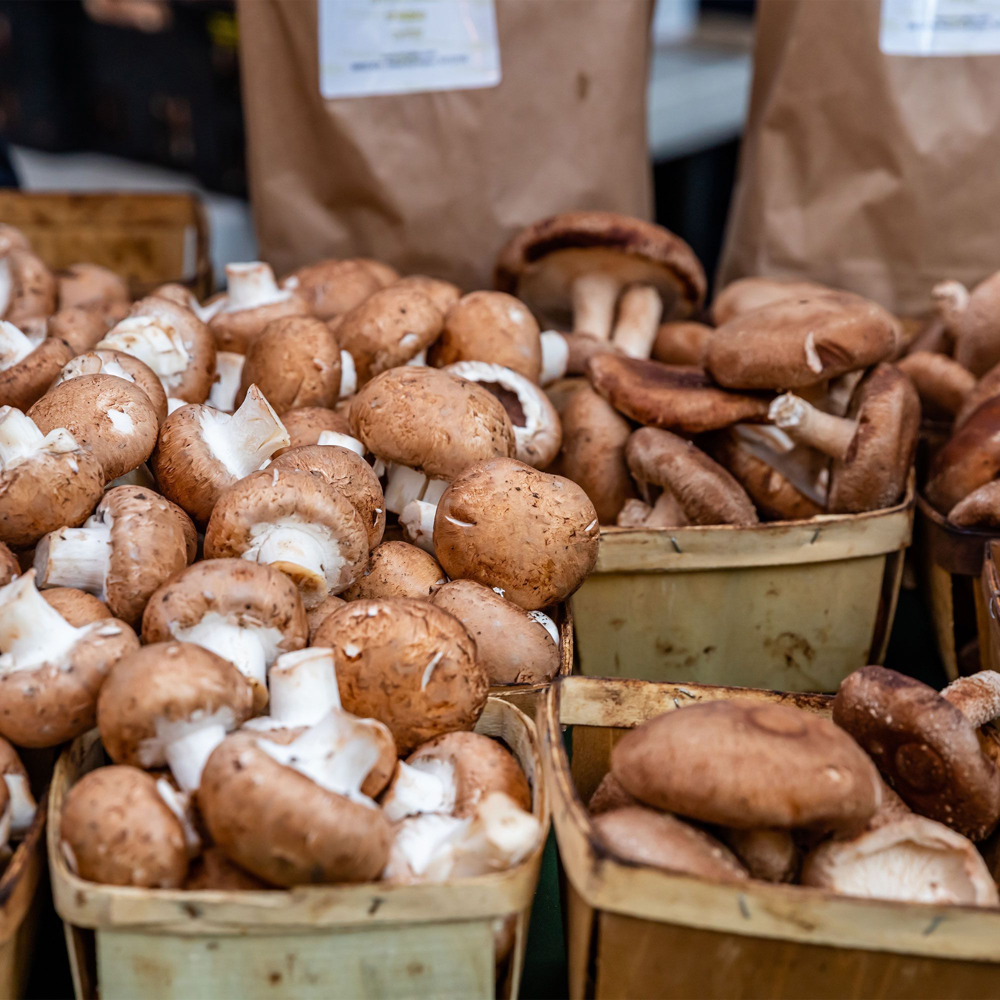 A variety of mushrooms at an open-air farmers' market stall.