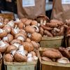 A variety of mushrooms at an open-air farmers' market stall.