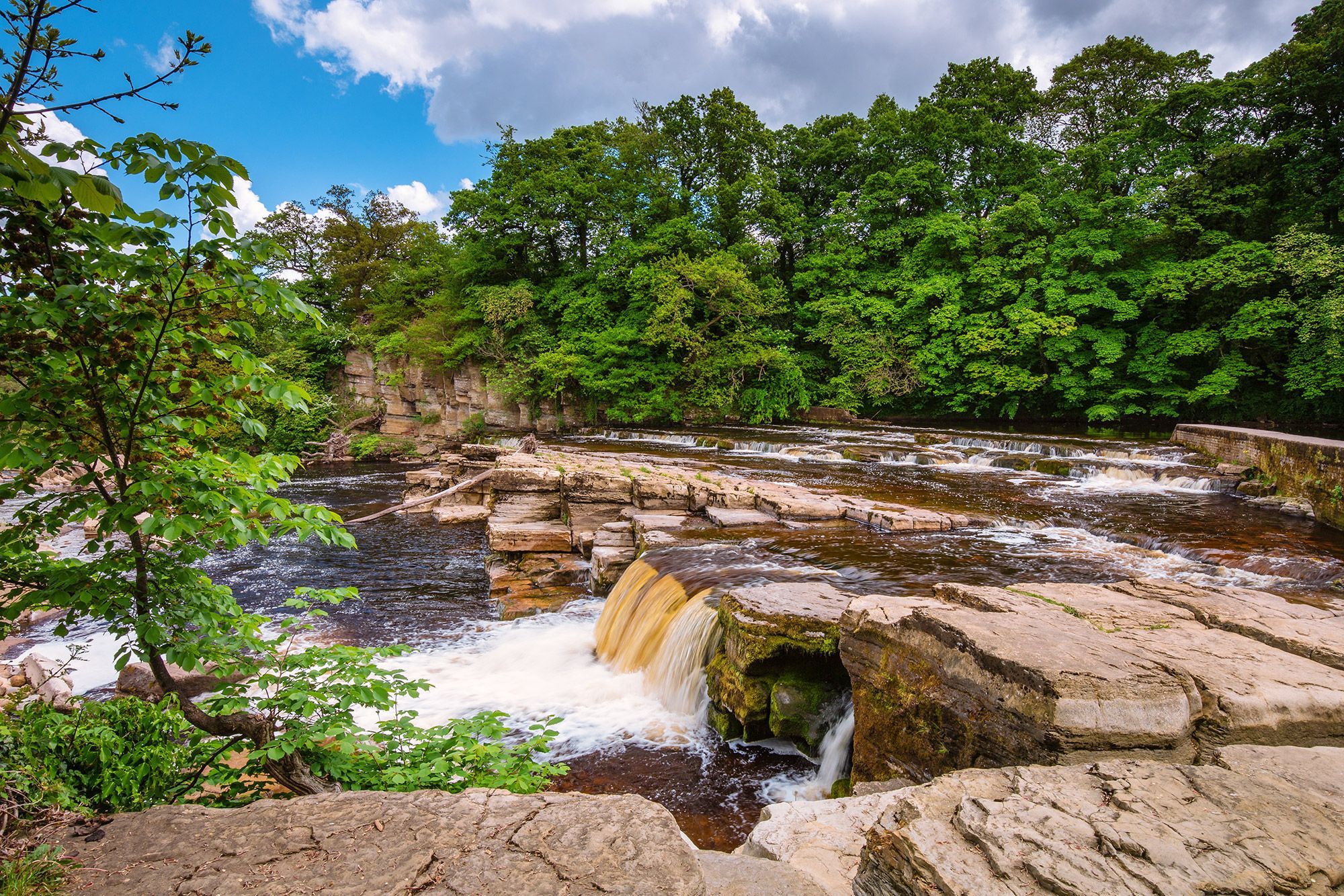 Richmond Falls surrounded by trees and rock formations in Swaledale, England.
