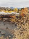A yellow steam train travels across an old metal bridge, with billowing clouds of white smoke and a line of yellow trees in the background