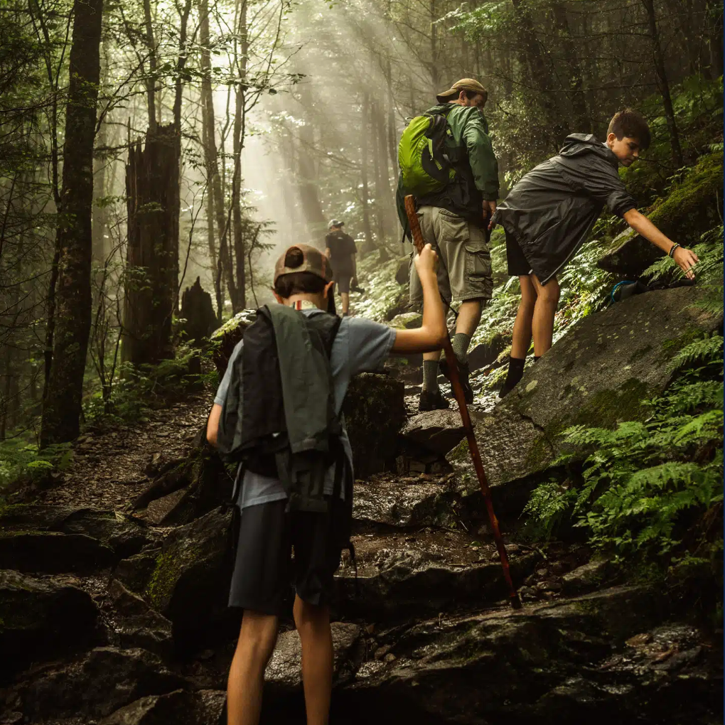A man and a group of young boys climb up the steps of a hiking trail in a forest