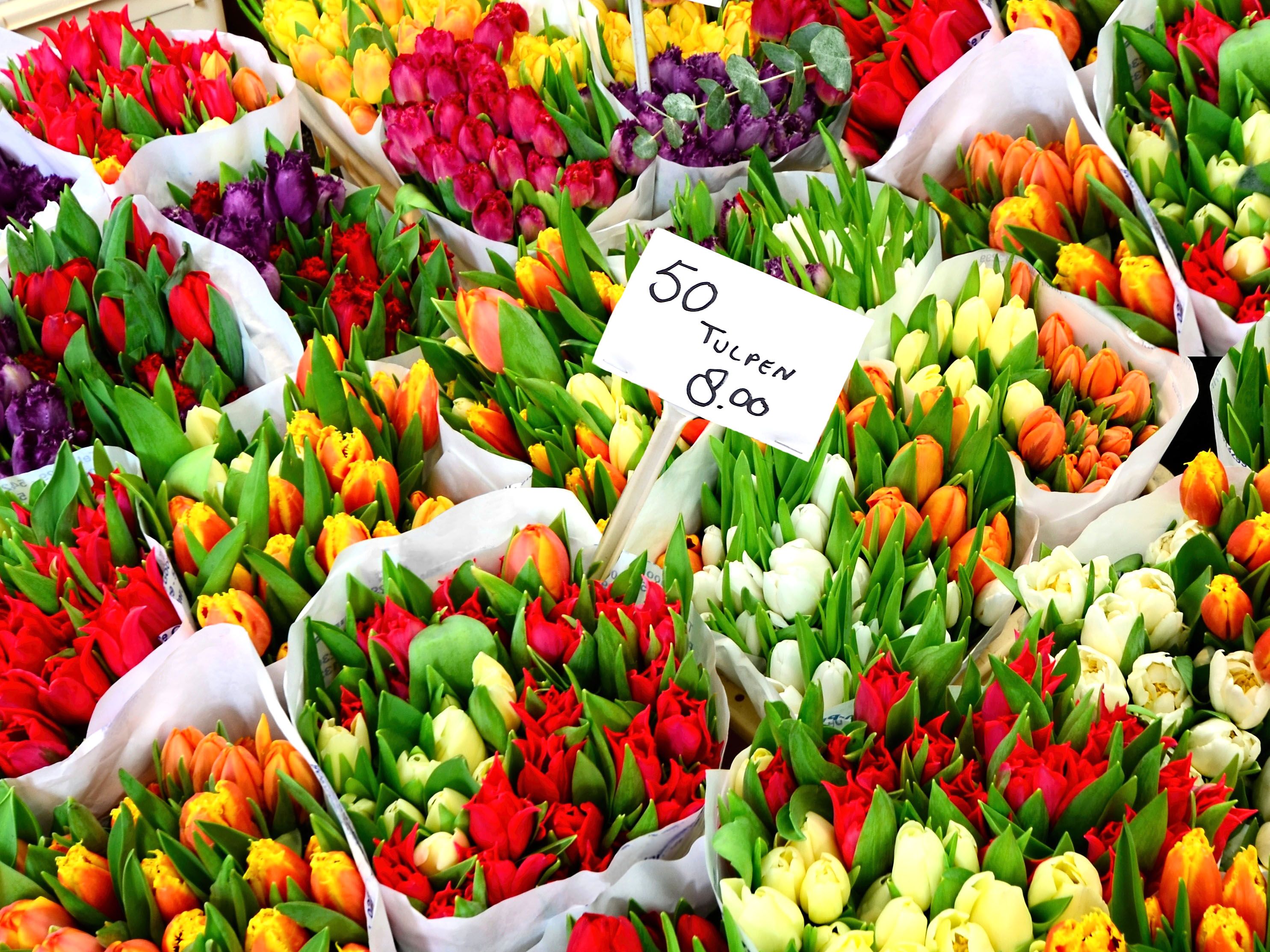Bunches of tulips for sale.