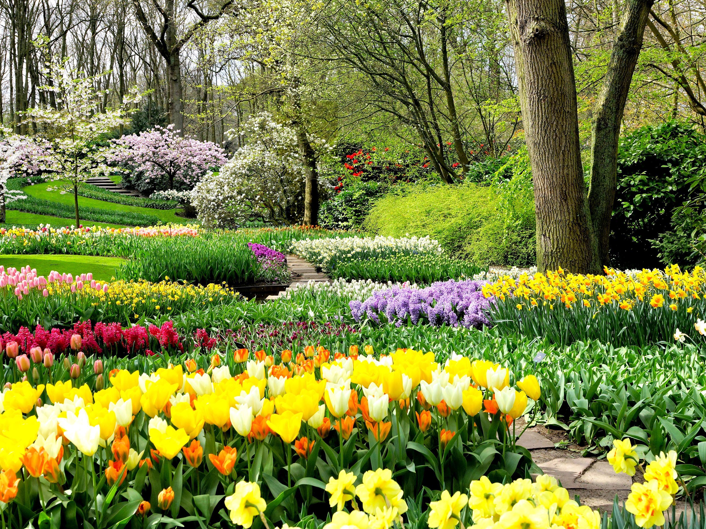 Field of many different yellow, red, orange and purple flower types.