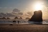 Oregon Coast At Sunset