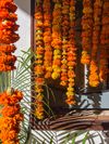 Hanging marigolds to dry in Oaxaca, Mexico