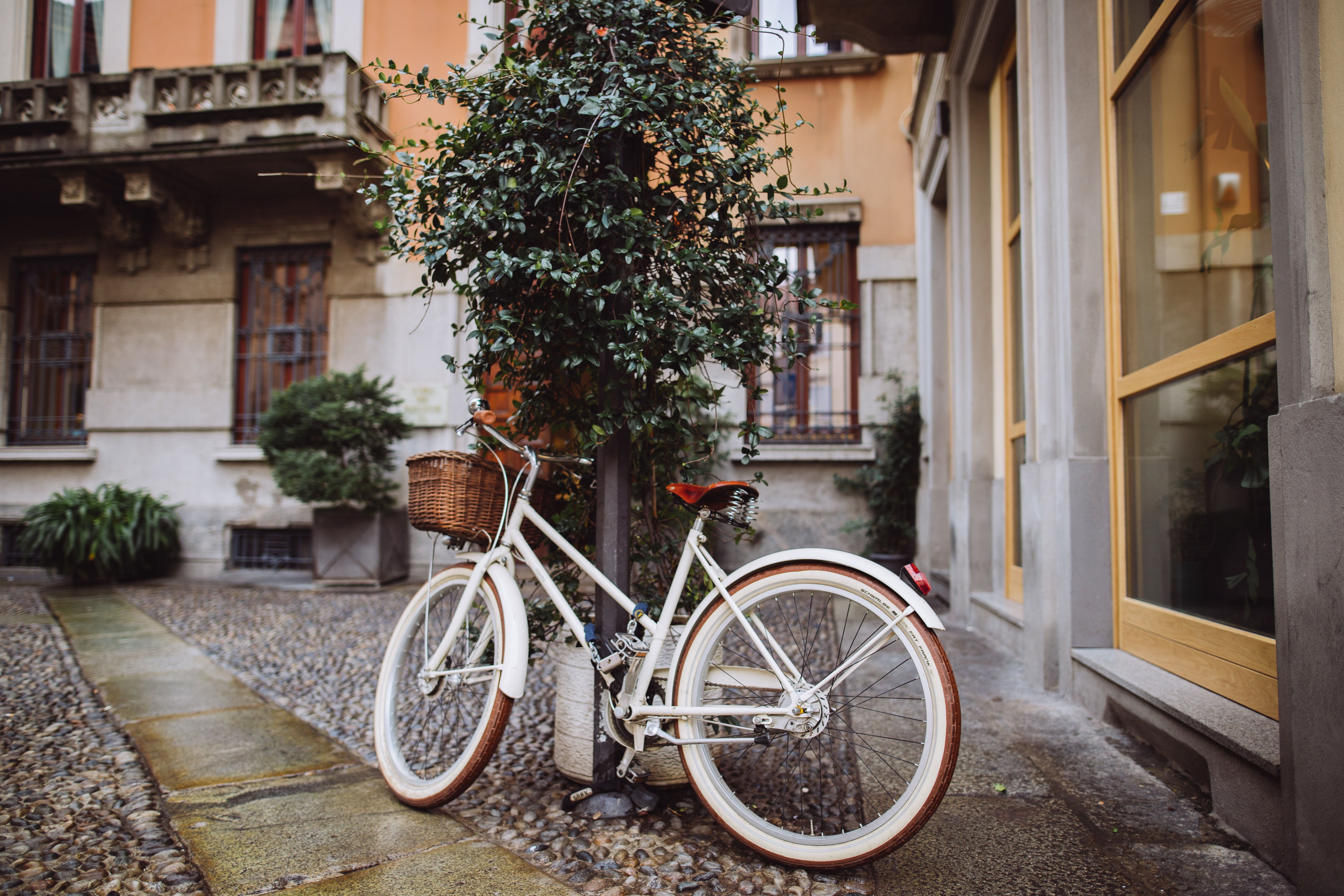 old bicycle on the street