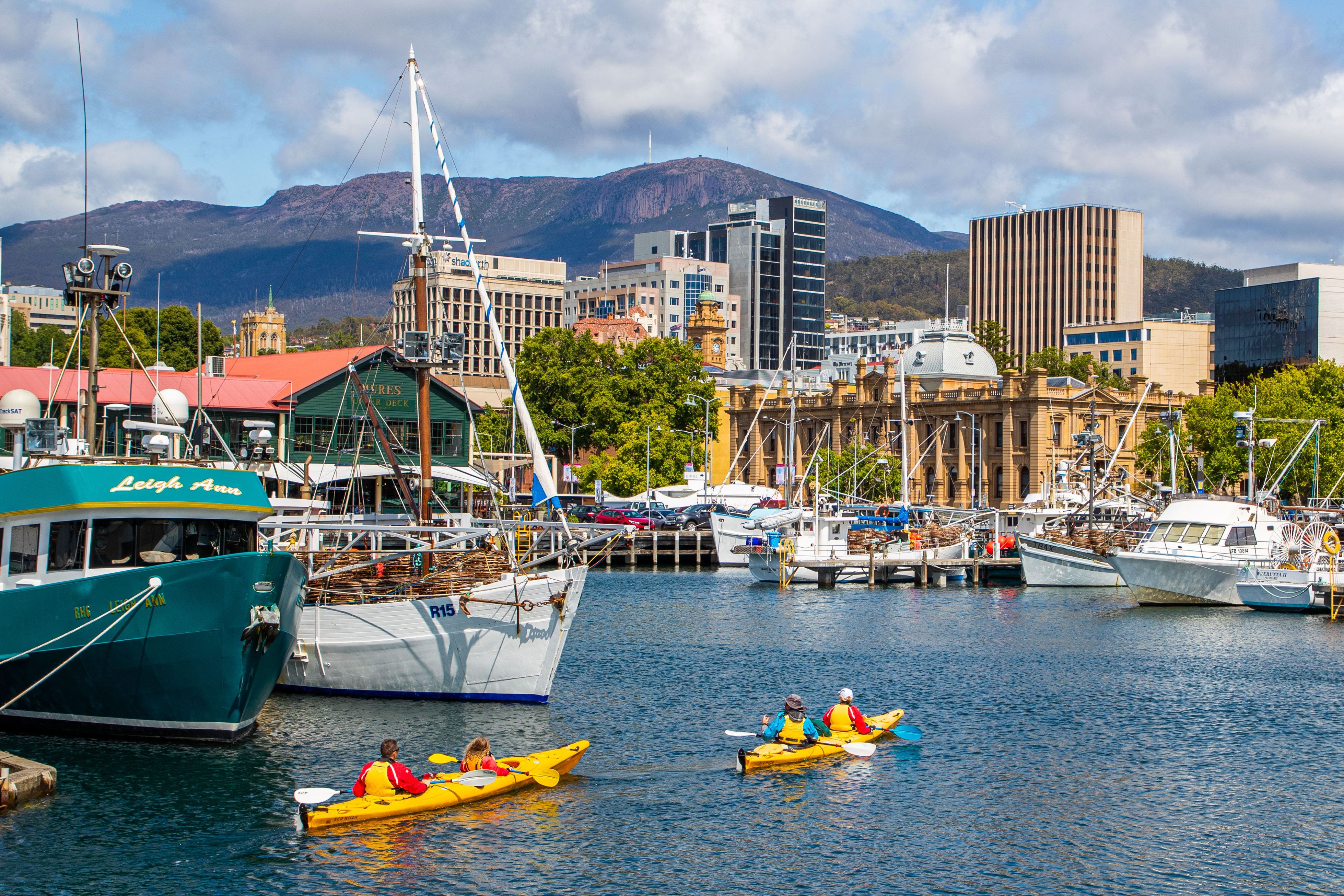 Kayakers paddling past yachts in a harbor.
