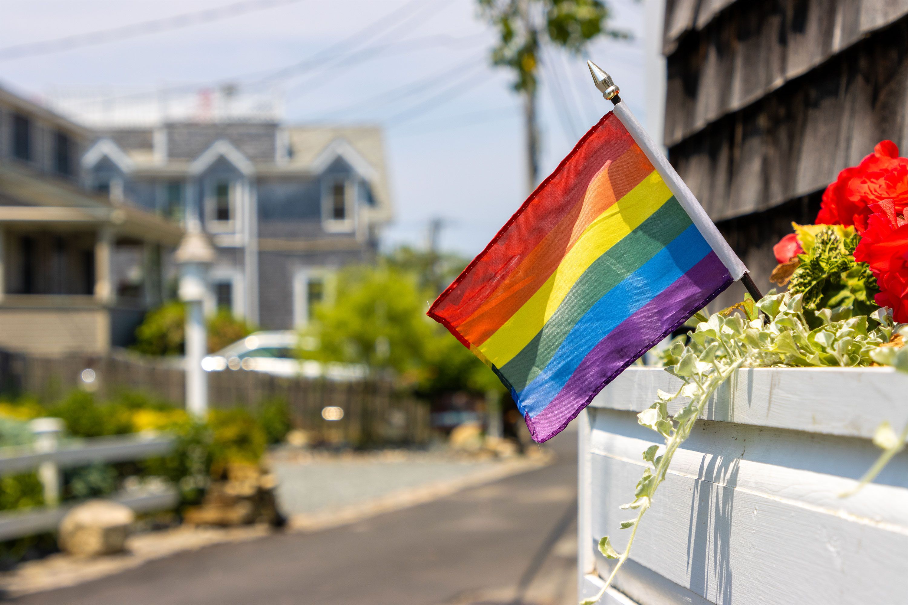 A rainbow-striped LGBTQ+ pride flag displayed in a window box overflowing with greenery and small flowers.