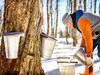 A man pours clear liquid from one bucket into another.