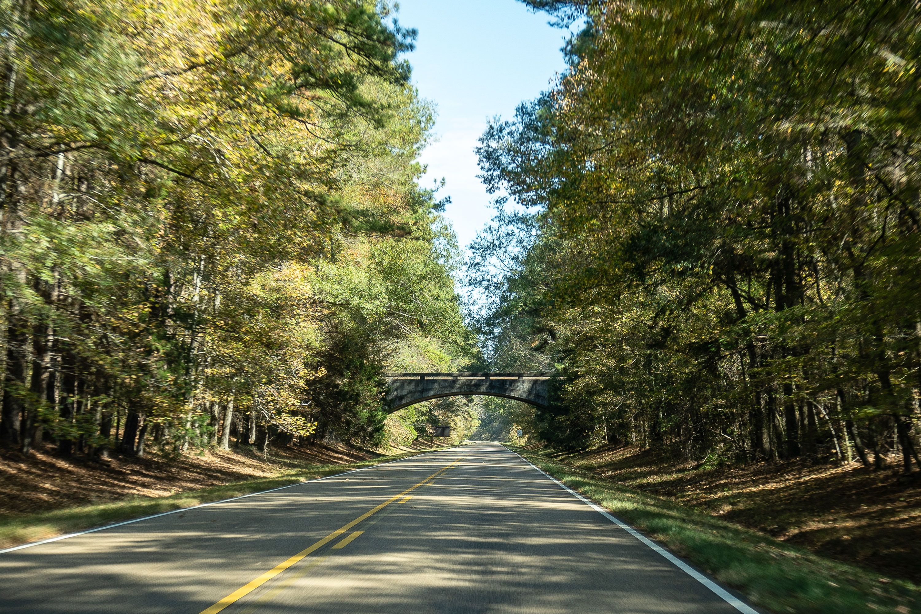 A quiet road passes beneath a small bridge, framed by tall trees.
