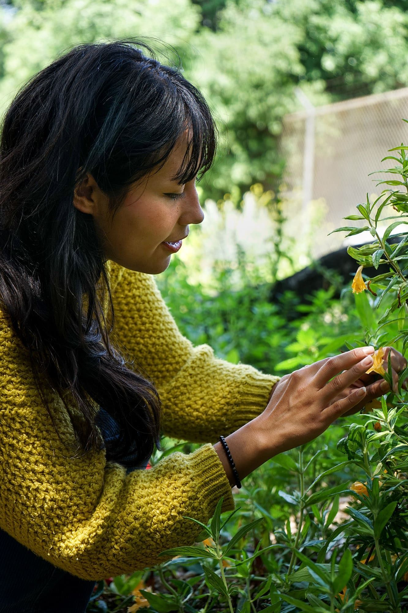 Herbalist Andrea Jimenez takes a closer look at a pretty yellow flower on a foraging trip