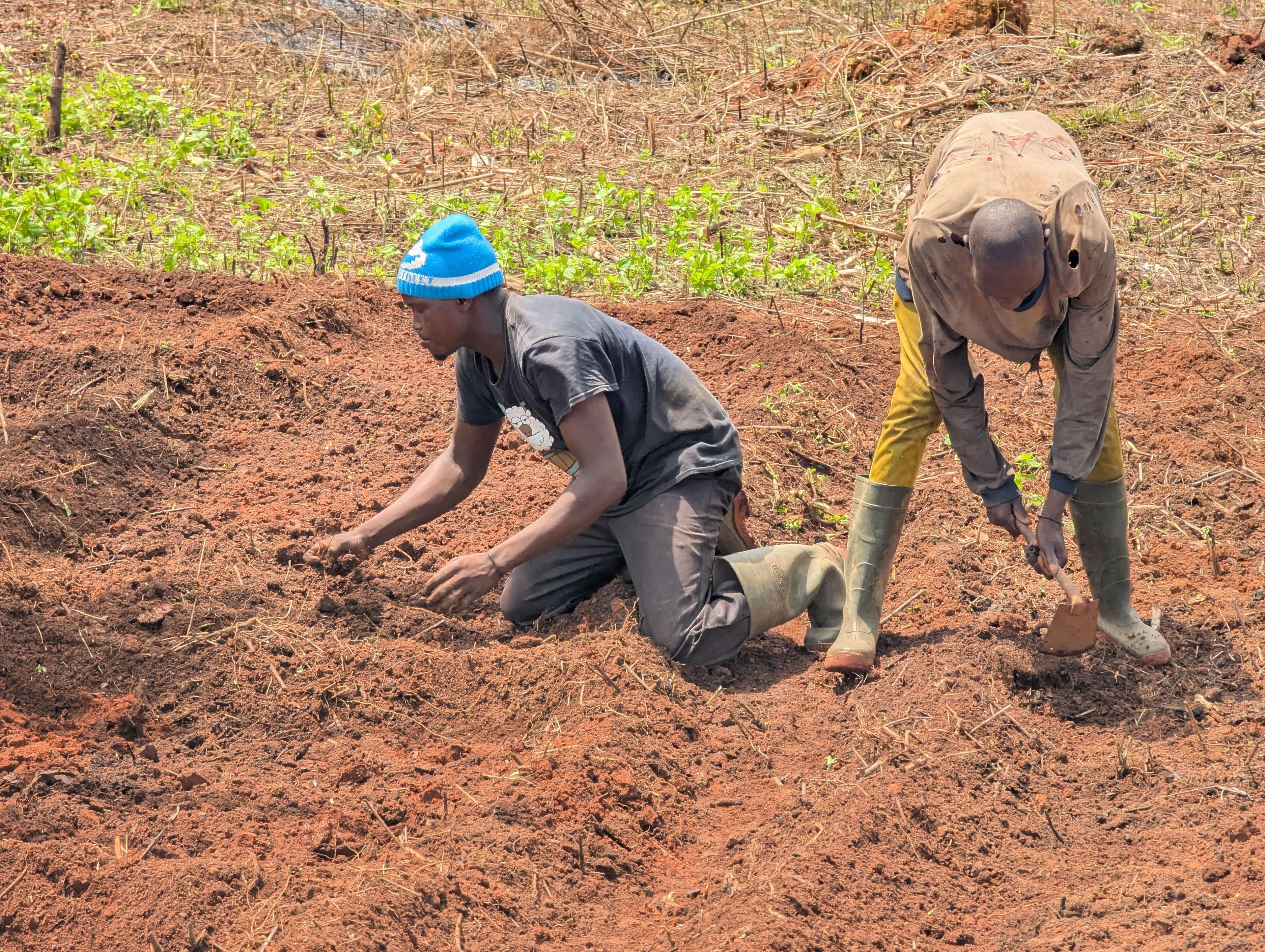 A farmer teaching young people to start a nursery bed
