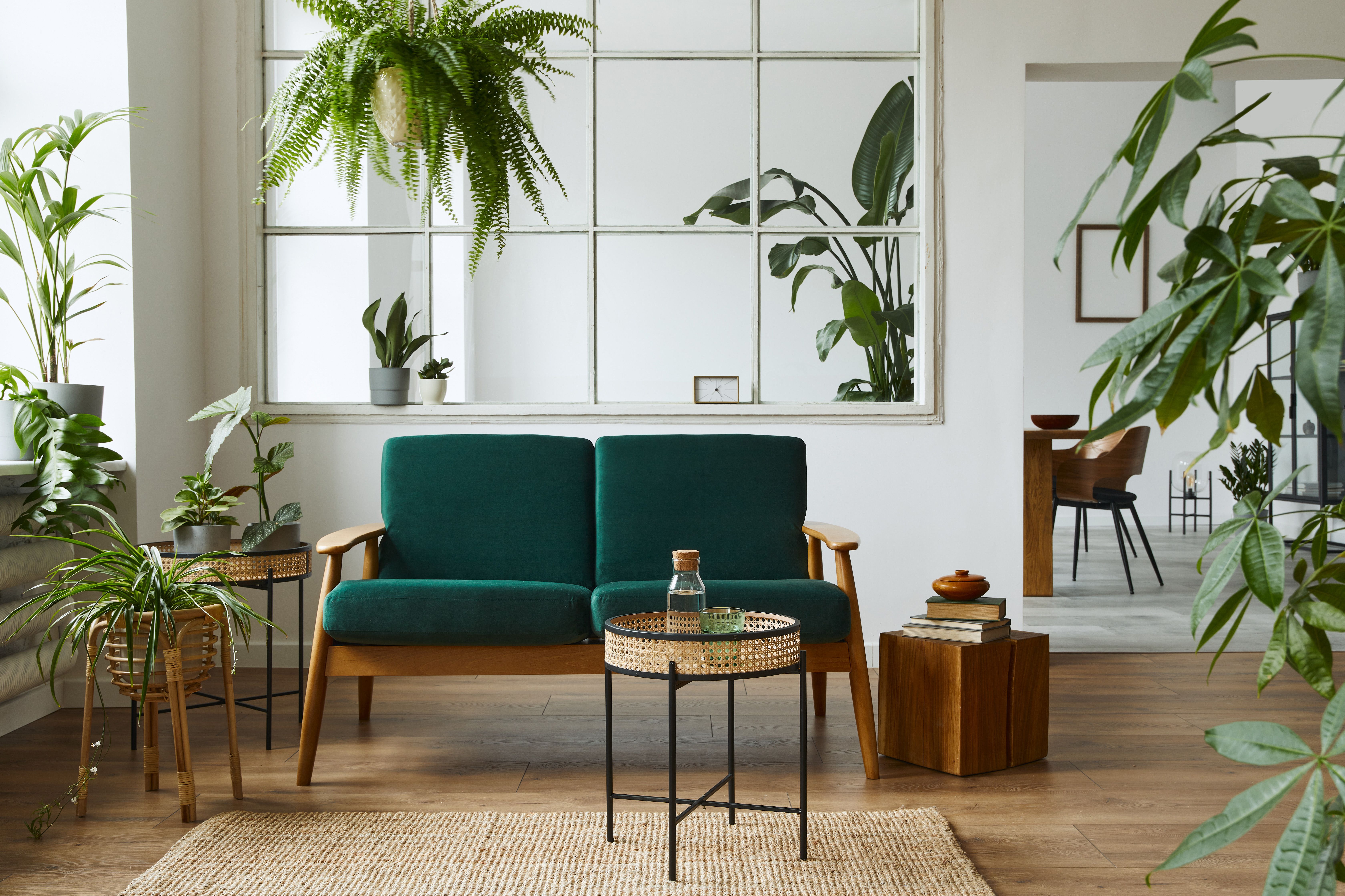 Green Living: Eco-Friendly Tips for a Sustainable Home Design